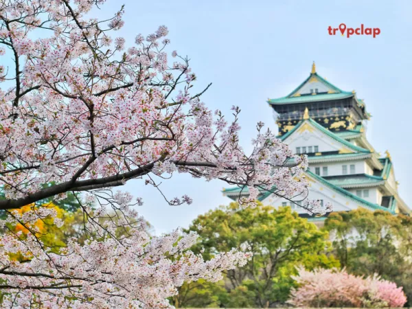 Japan - Travel Insurance