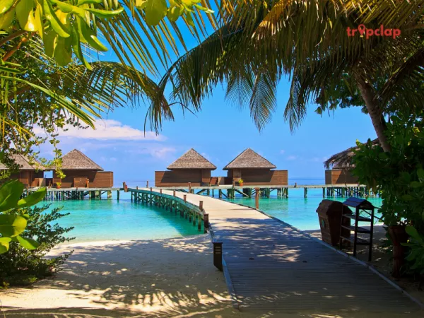 Maldives