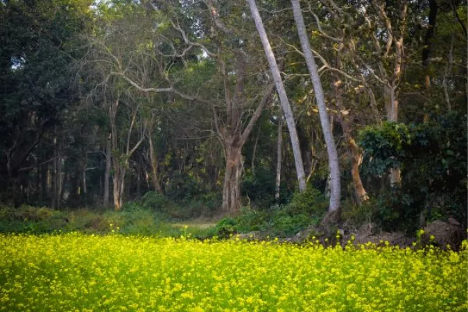 1.4 Mawlynnong, Meghalaya