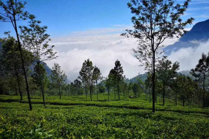 1.5 Coonoor, Tamil Nadu