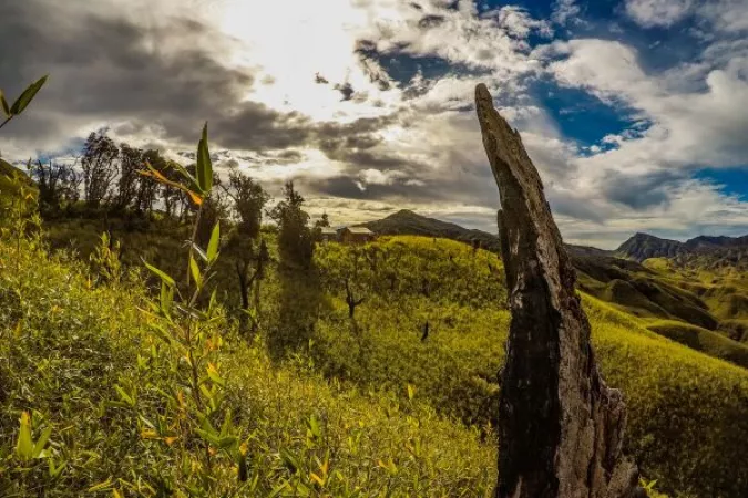 4.1 Dzukou Valley, Nagaland