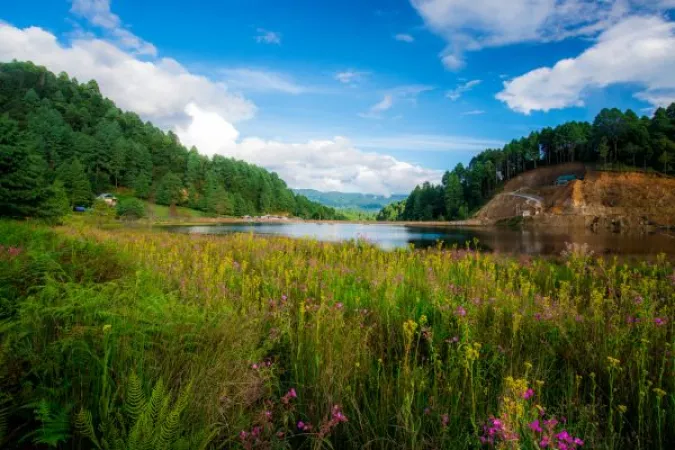 4.2 Ziro Valley, Arunachal Pradesh