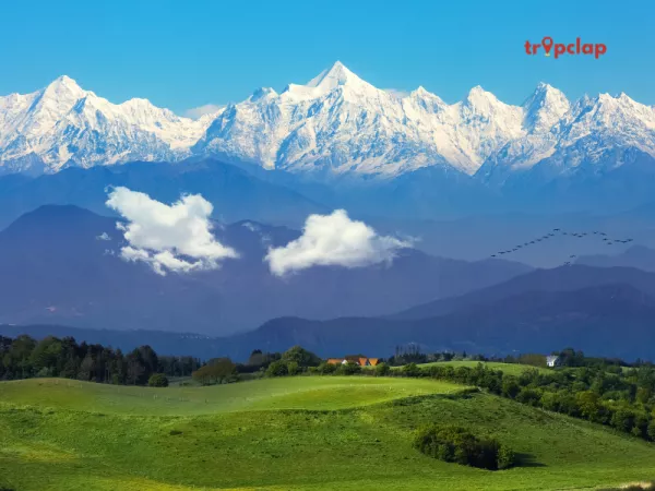 1.1 Binsar, Uttarakhand