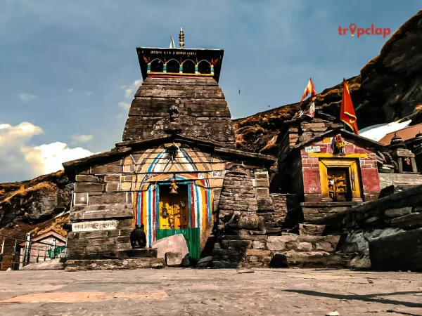 1.5 Chopta, Uttarakhand