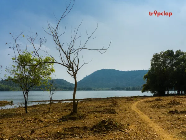 4.5 Shoolpaneshwar Wildlife Sanctuary, Gujarat