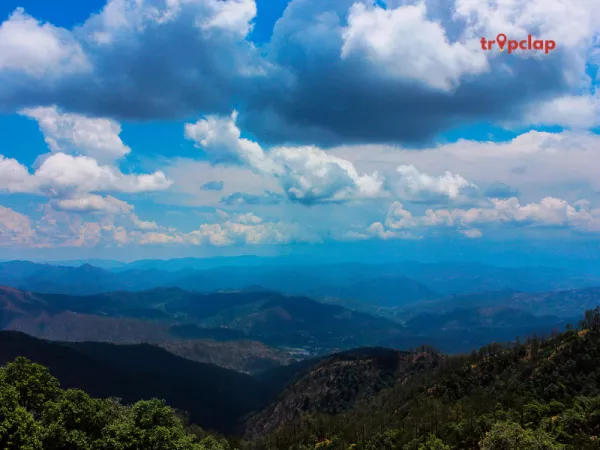 1.2 Binsar, Uttarakhand