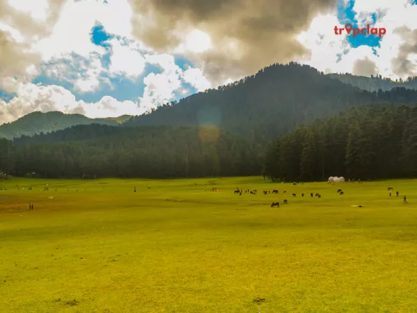 1.3 Khajjiar, Himachal Pradesh