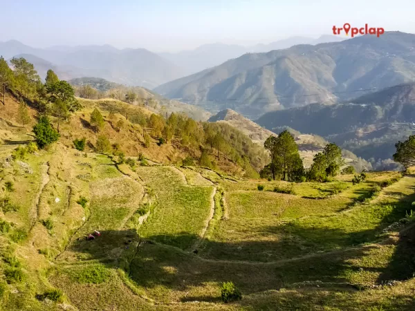 1.4 Ranikhet, Uttarakhand