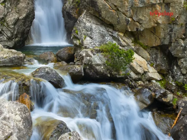 1.5 Dharamshala and McLeod Ganj, Himachal Pradesh