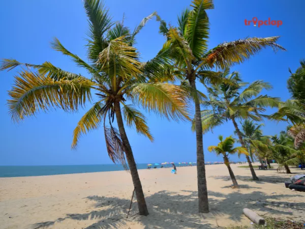 2.1 Mararikulam, Kerala