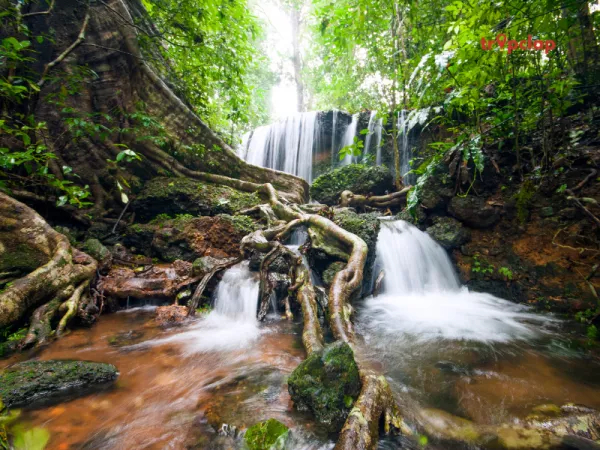 2.2 Agumbe, Karnataka