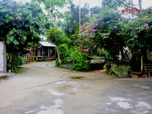 3.5 Mawlynnong, Meghalaya