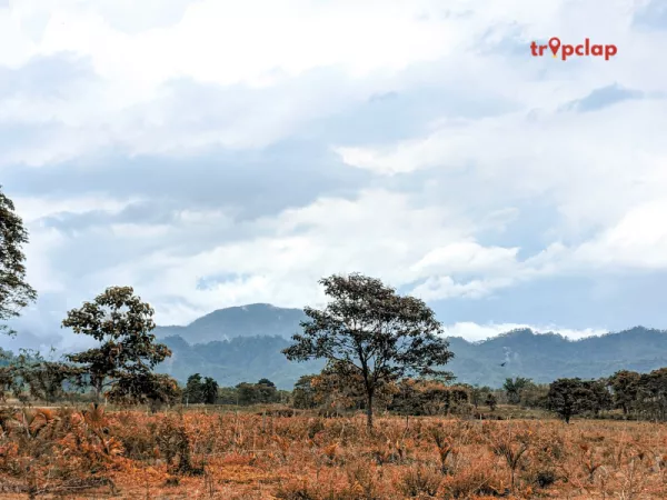 4.5 Toranmal, Maharashtra