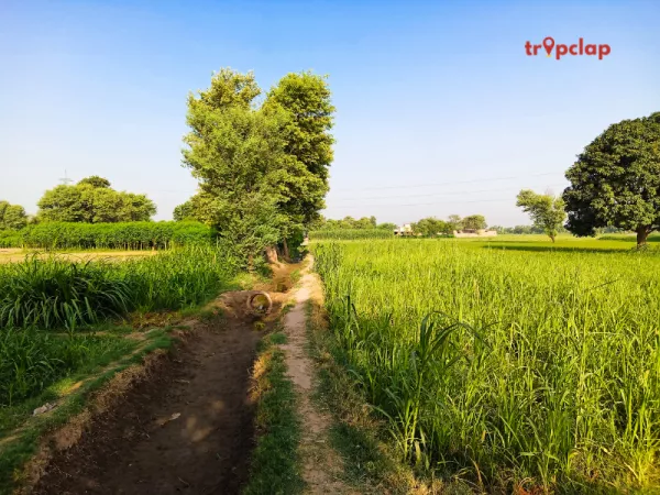 1.3 Kila Raipur, Punjab