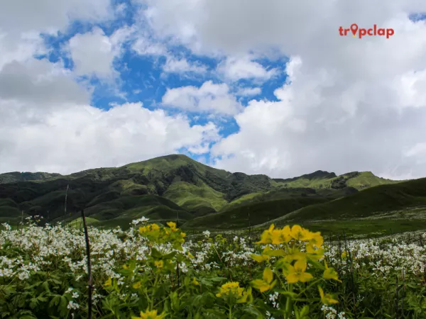 3.1 Dzukou Valley, Nagaland