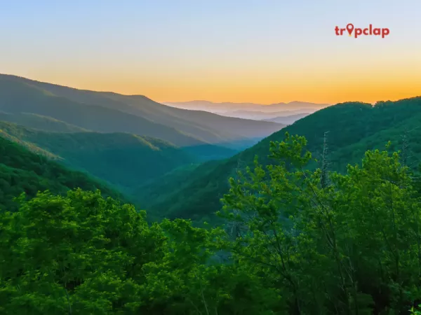 3.3 Phawngpui Blue Mountain, Mizoram