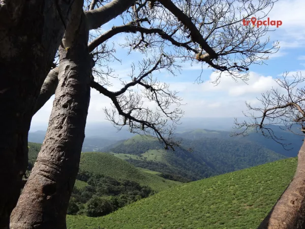 2.3 Coorg, Karnataka