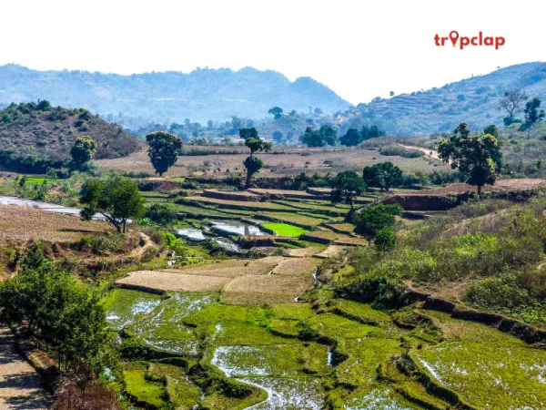 2.4 Araku Valley, Andhra Pradesh