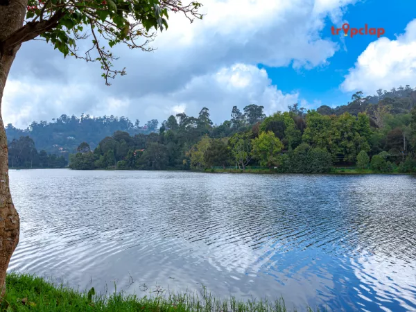 2.3 Kodaikanal, Tamil Nadu