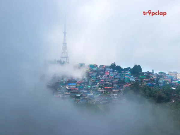 3.4 Kurseong, West Bengal