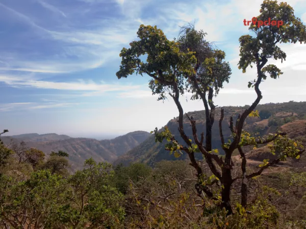 4.5 Chikhaldara, Maharashtra