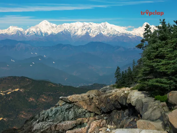 1.2 Binsar, Uttarakhand