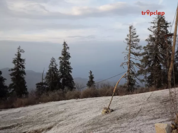 1.5 Kanatal, Uttarakhand