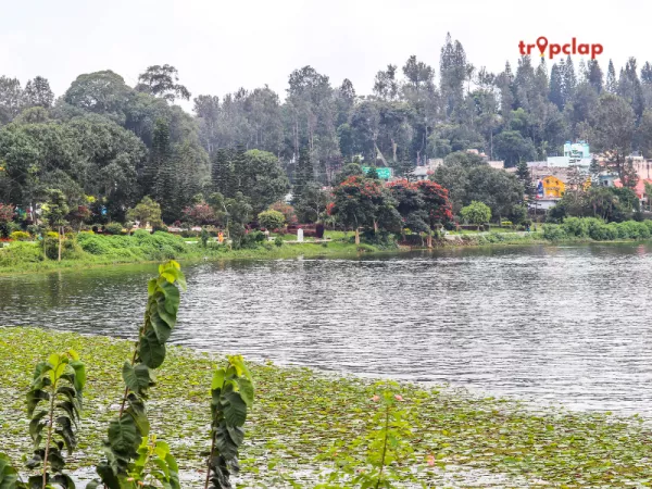 2.3 Yercaud, Tamil Nadu