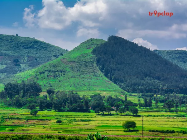 2.4 Araku Valley, Andhra Pradesh