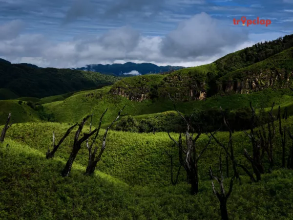 3.3 Dzukou Valley, Nagaland