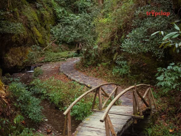 1.4 Jibhi, Himachal Pradesh