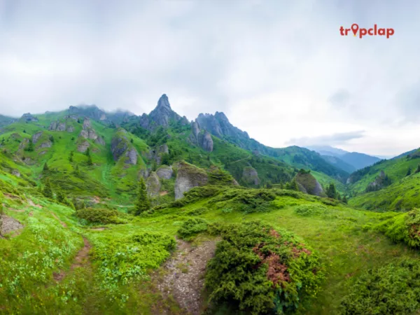 1.5 Nagtibba, Uttarakhand