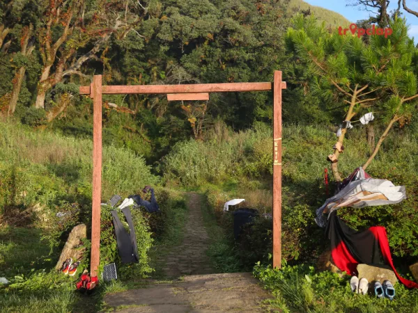 3.2 Dzukou Valley, Nagaland