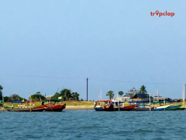 3.5 Chilika Lake, Odisha: