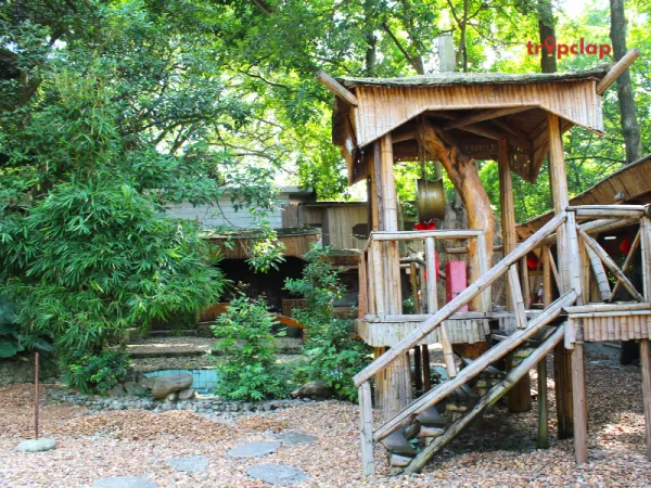 4.2 Dandeli, Karnataka