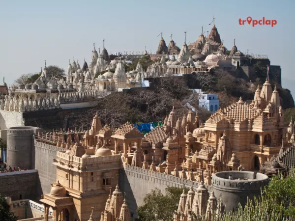 4.4 Palitana, Gujarat