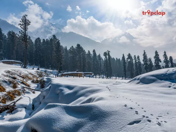 1.5 Pahalgam, Jammu and Kashmir