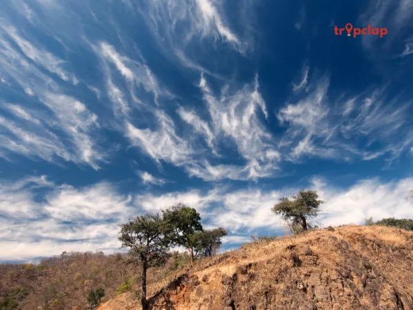 4.4 Chikhaldara, Maharashtra