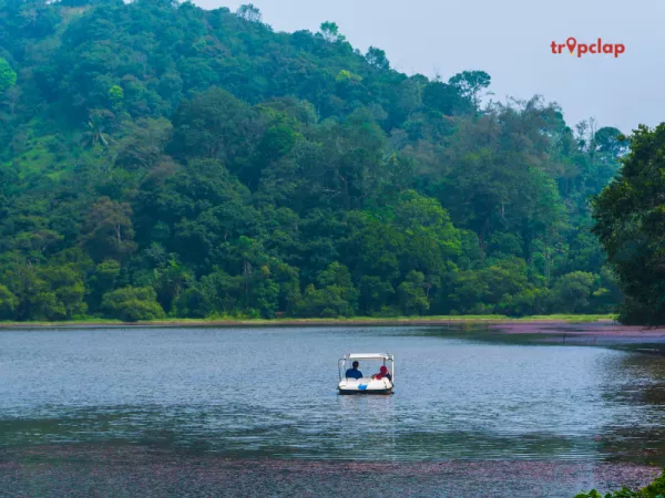 2.2 Wayanad, Kerala