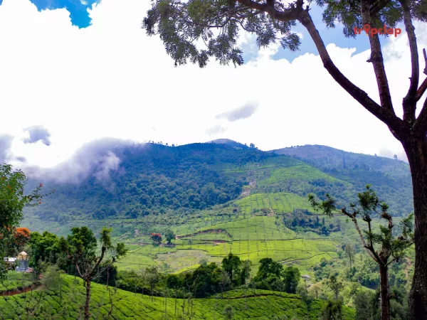 2.3 Coonoor, Tamil Nadu