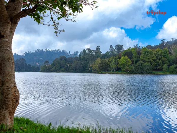 2.5 Kodaikanal, Tamil Nadu