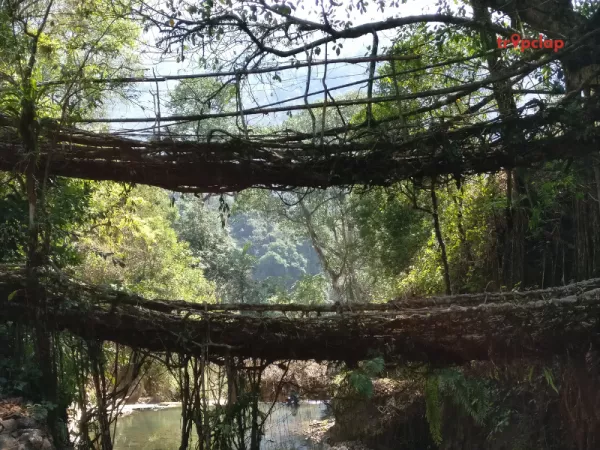 3.1 Mawlynnong, Meghalaya