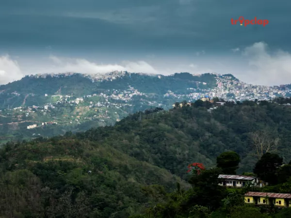 3.1 Phawngpui (Blue Mountain), Mizoram