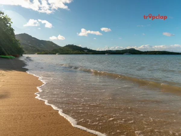 4.2 Dahanu and Bordi, Maharashtra: