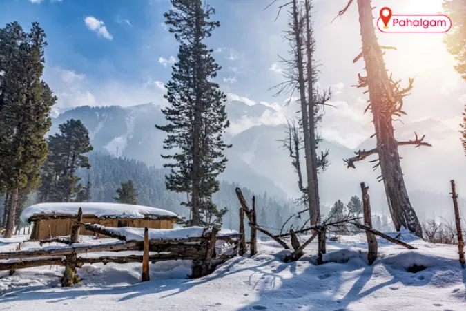 2. Pahalgam: The Valley of Shepherds in Winter