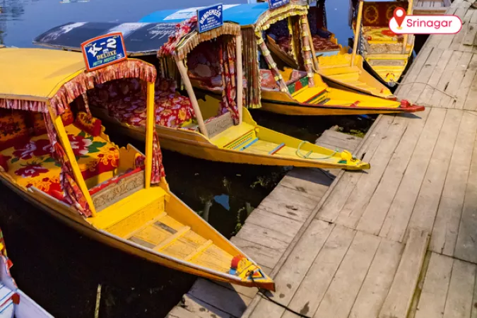 3. Srinagar: Frozen Lakes and Winter Markets