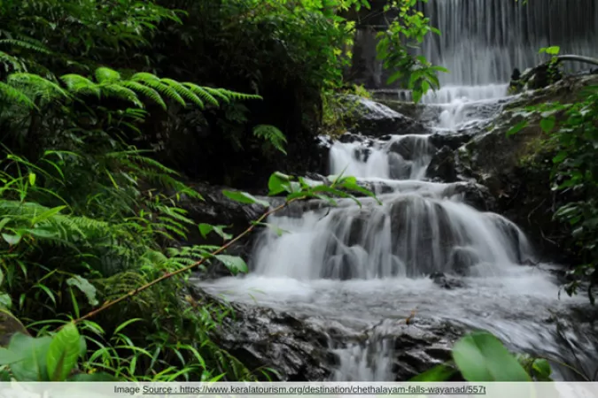 4. Chethalayam Waterfalls