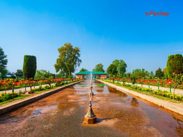 3. Nishat bagh