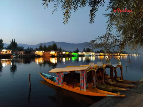 Shikara Ride on Dal Lake: