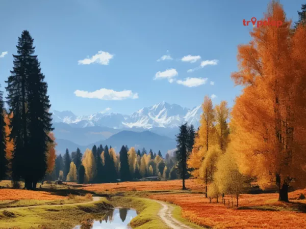 Trekking in Pahalgam: